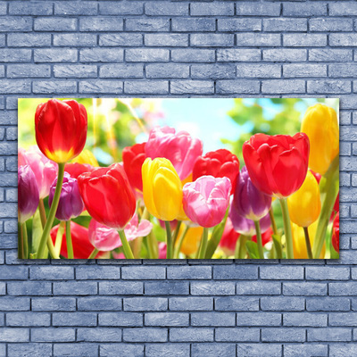 Print op doek Tulpen bloemen plant