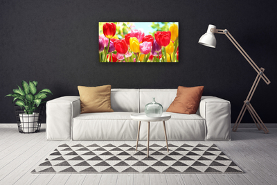 Print op doek Tulpen bloemen plant