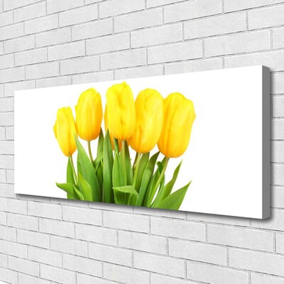 Print op doek Tulpen bloemen plant