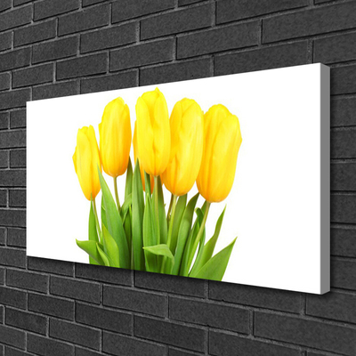 Print op doek Tulpen bloemen plant