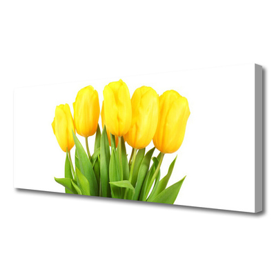 Print op doek Tulpen bloemen plant