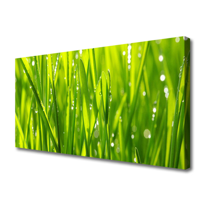 Print op doek Grass nature plant