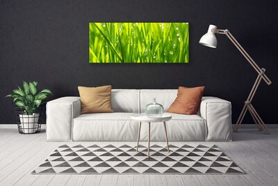 Print op doek Grass nature plant