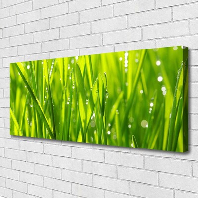 Print op doek Grass nature plant