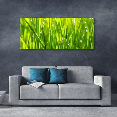 Print op doek Grass nature plant