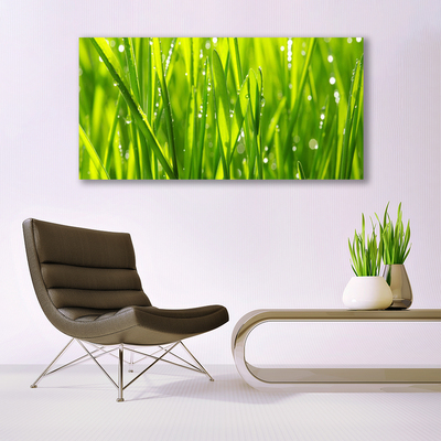 Print op doek Grass nature plant