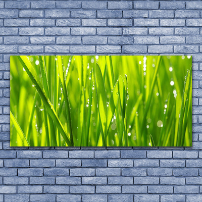 Print op doek Grass nature plant