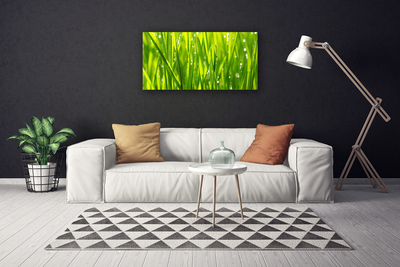 Print op doek Grass nature plant