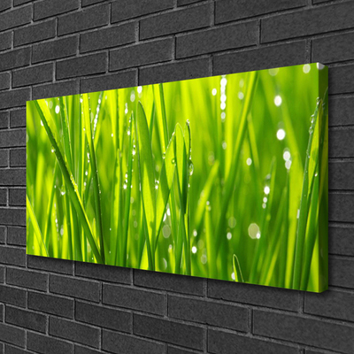 Print op doek Grass nature plant