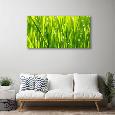 Print op doek Grass nature plant