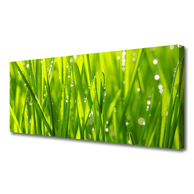 Print op doek Grass nature plant