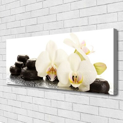 Print op doek Witte orchidee bloem