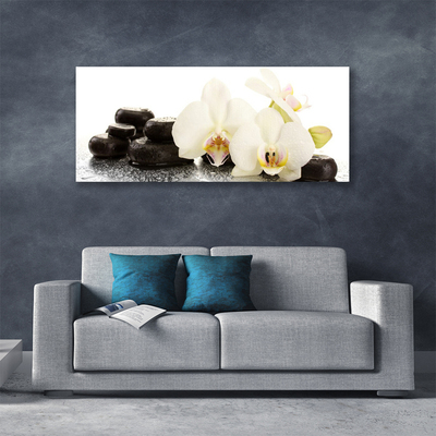 Print op doek Witte orchidee bloem