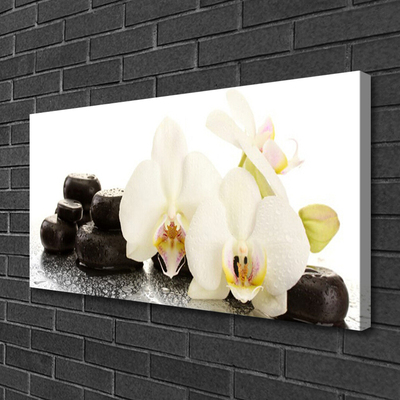 Print op doek Witte orchidee bloem