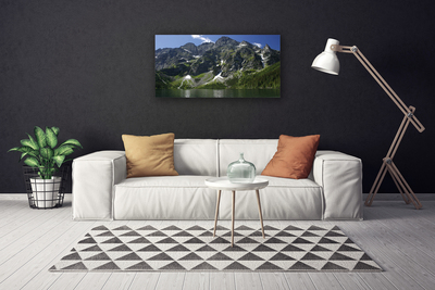 Print op doek Lake forest mountain landscape