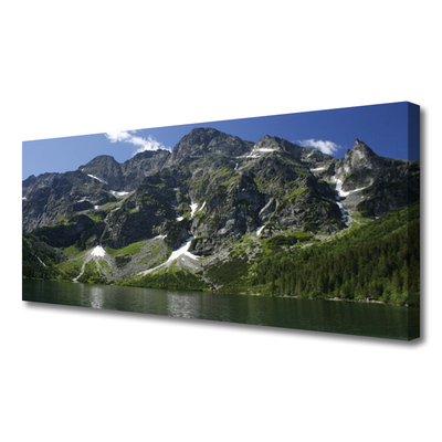 Print op doek Lake forest mountain landscape