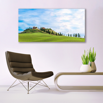 Print op doek Meadow trees landscape