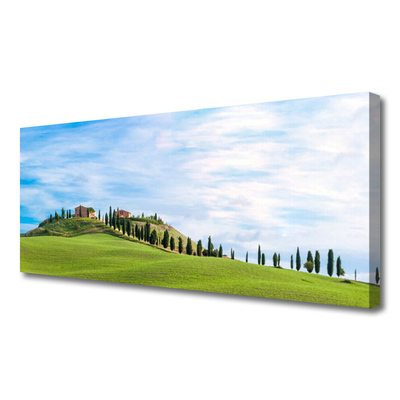 Print op doek Meadow trees landscape