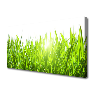 Print op doek Grass nature plant