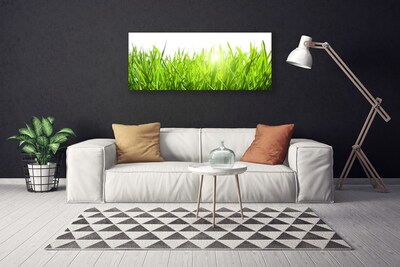 Print op doek Grass nature plant