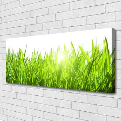 Print op doek Grass nature plant