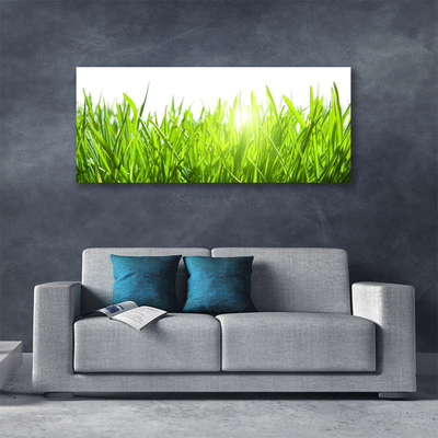 Print op doek Grass nature plant