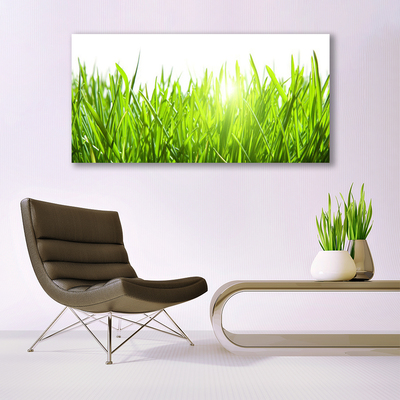 Print op doek Grass nature plant