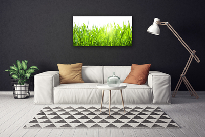 Print op doek Grass nature plant