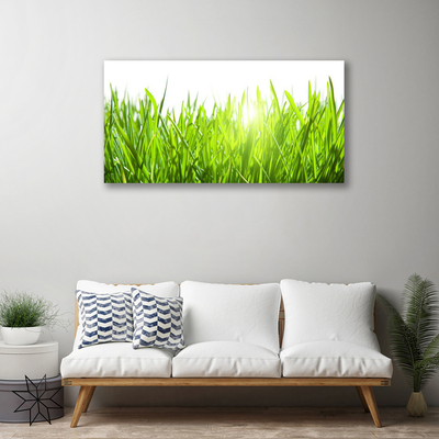 Print op doek Grass nature plant