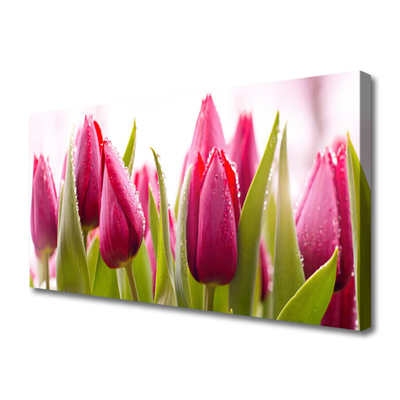 Print op doek Tulpen bloemen plant