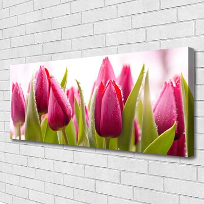 Print op doek Tulpen bloemen plant