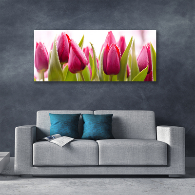 Print op doek Tulpen bloemen plant