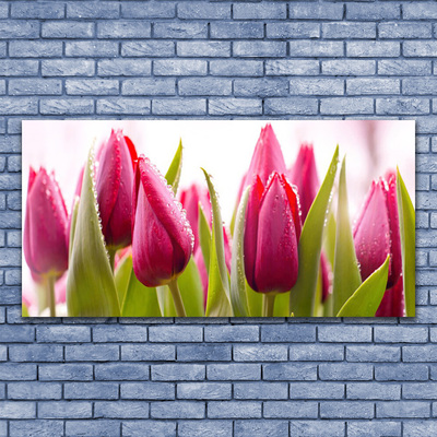 Print op doek Tulpen bloemen plant