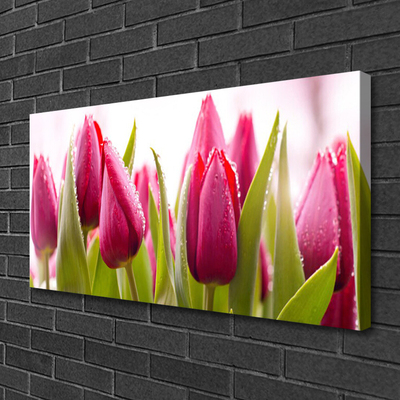 Print op doek Tulpen bloemen plant