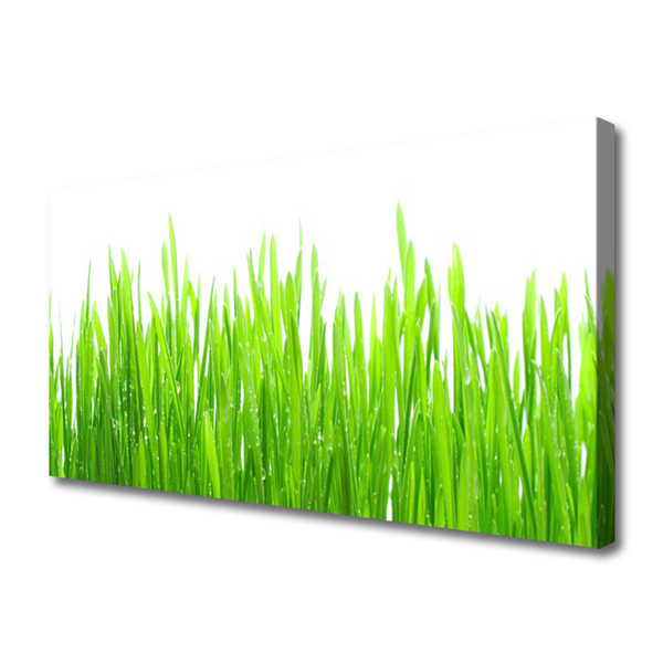 Print op doek Grass nature plant