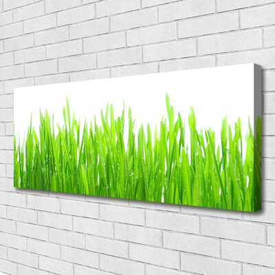 Print op doek Grass nature plant