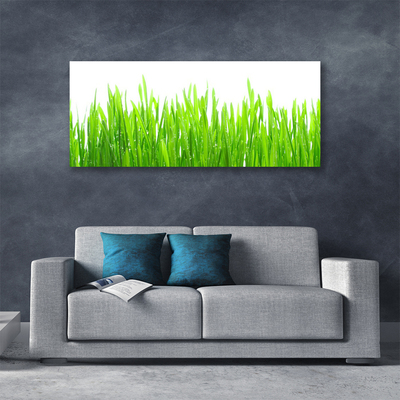 Print op doek Grass nature plant