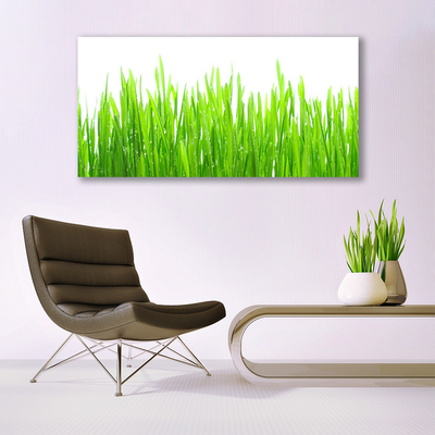 Print op doek Grass nature plant