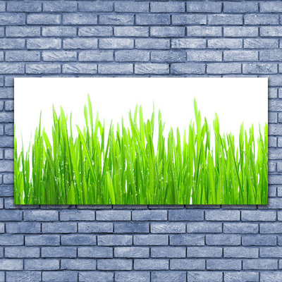 Print op doek Grass nature plant