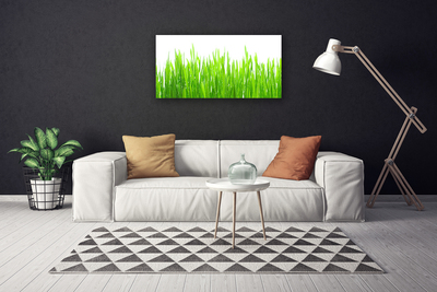 Print op doek Grass nature plant