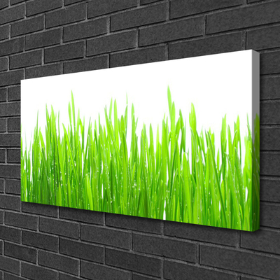 Print op doek Grass nature plant