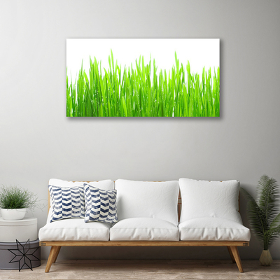 Print op doek Grass nature plant