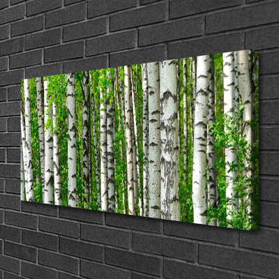 Print op doek Natuur plant bosbomen