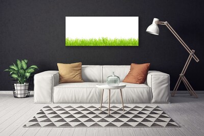 Print op doek Grass nature plant