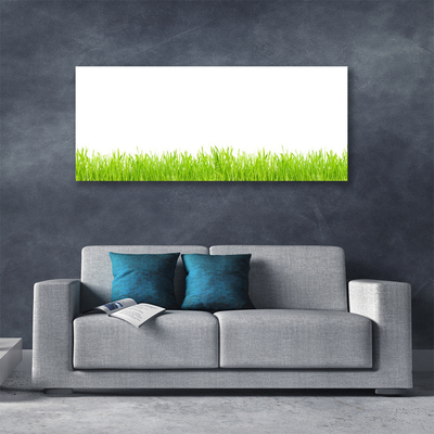 Print op doek Grass nature plant