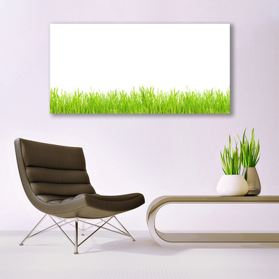 Print op doek Grass nature plant