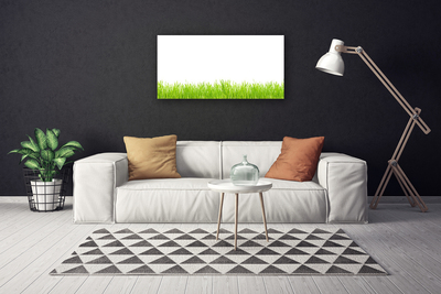 Print op doek Grass nature plant