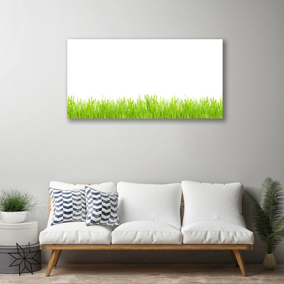 Print op doek Grass nature plant