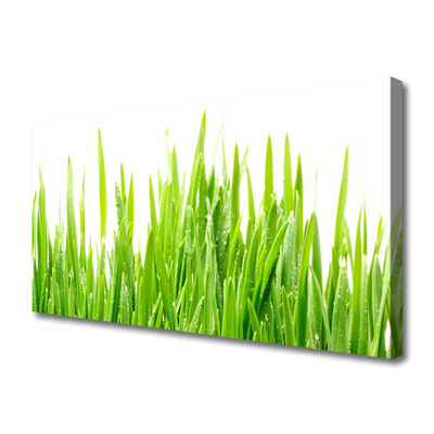 Print op doek Grass nature plant