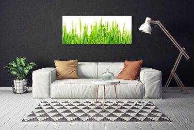 Print op doek Grass nature plant